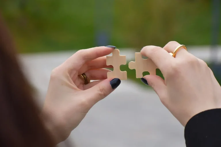 a person holding puzzle pieces