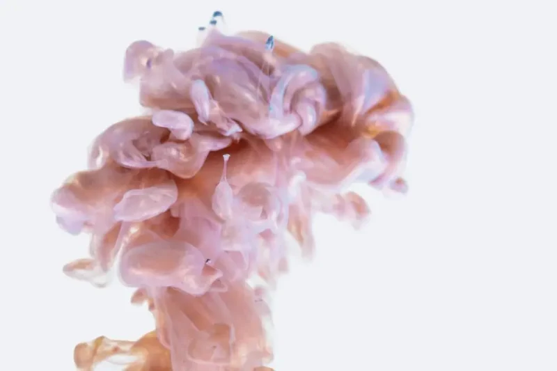 budding flower art